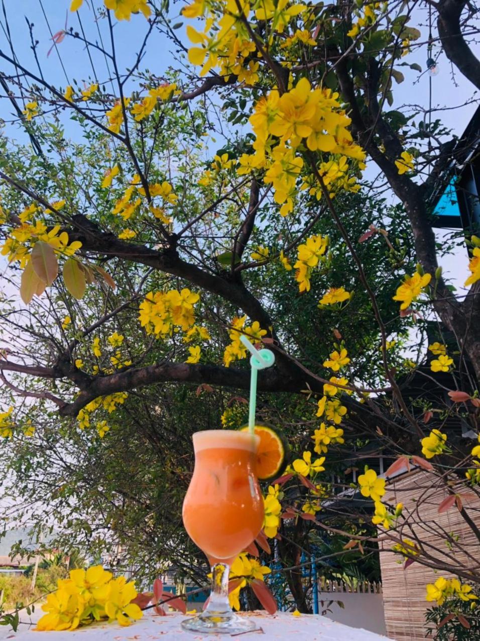 Gasthaus Sunrise Doc Let Ninh Hai District Exterior foto